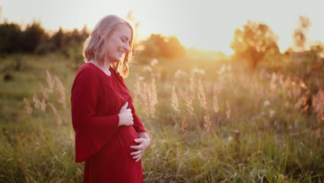 pregnant woman walking on a meadow in sunset 7