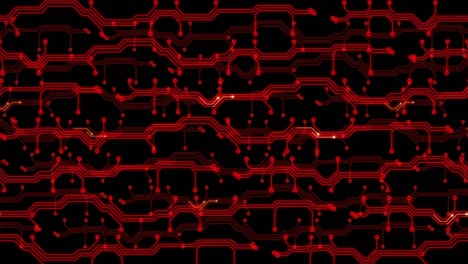 fondo en bucle animado futurista rojo con líneas abstractas de placas de circuitos