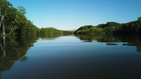 Drohnenaufnahme-Aus-Der-Luft:-Langsames-Fliegen-über-Einen-Ruhigen-Fluss-Mit-Erstaunlich-Sauberem-Wasser,-Umgeben-Von-üppiger-Vegetation