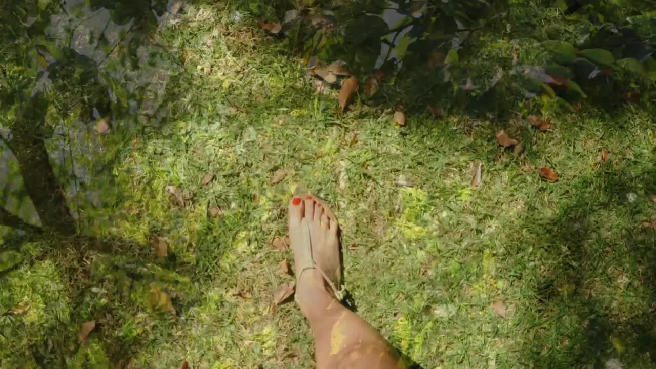 Composite video of tall tress against low section of a caucasian woman walking in the garden