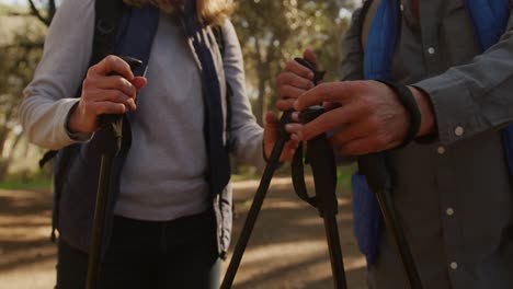 active senior couple hiking in forest