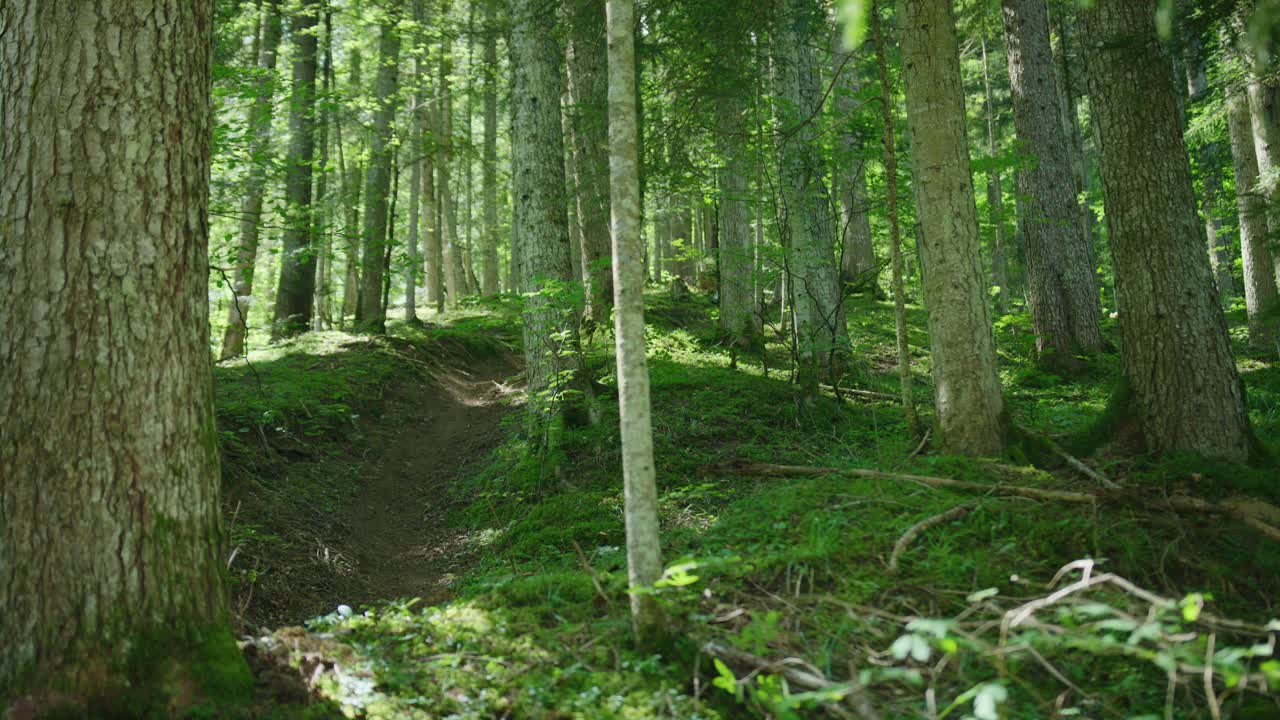 Un ciclista di mountain bike sta scendendo un ripido canalone in una calda giornata di sole.