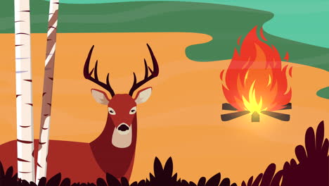 deer by a campfire in the woods