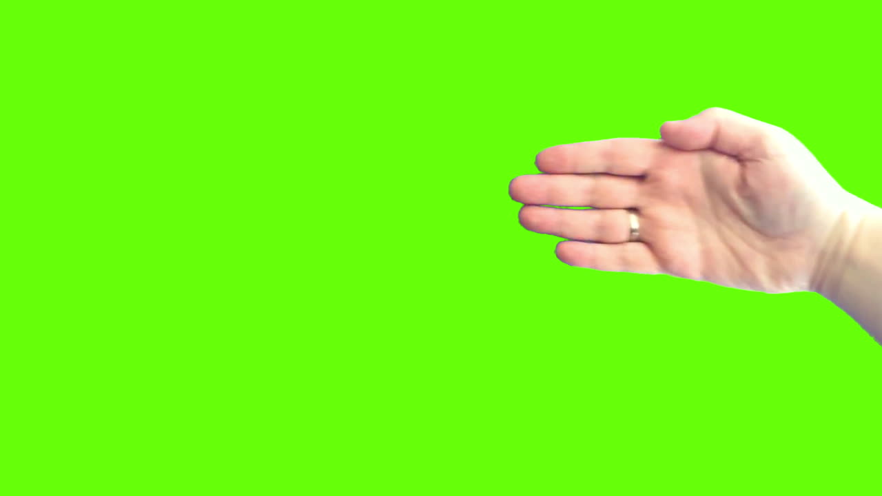 Human Hand Gestures on Green Screen