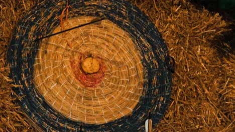 axe stuck in a wooden target