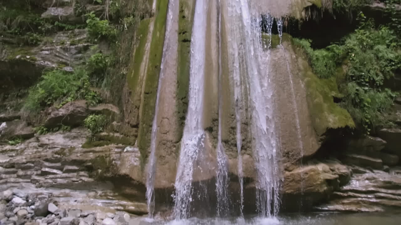 una cascada en un bosque exuberante