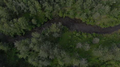 Dark-forest-and-swampy-river-from-above