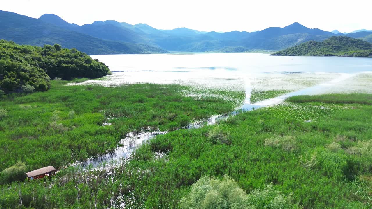 Lake Skadar lush swamp vegetation surrounding mountains, Drone