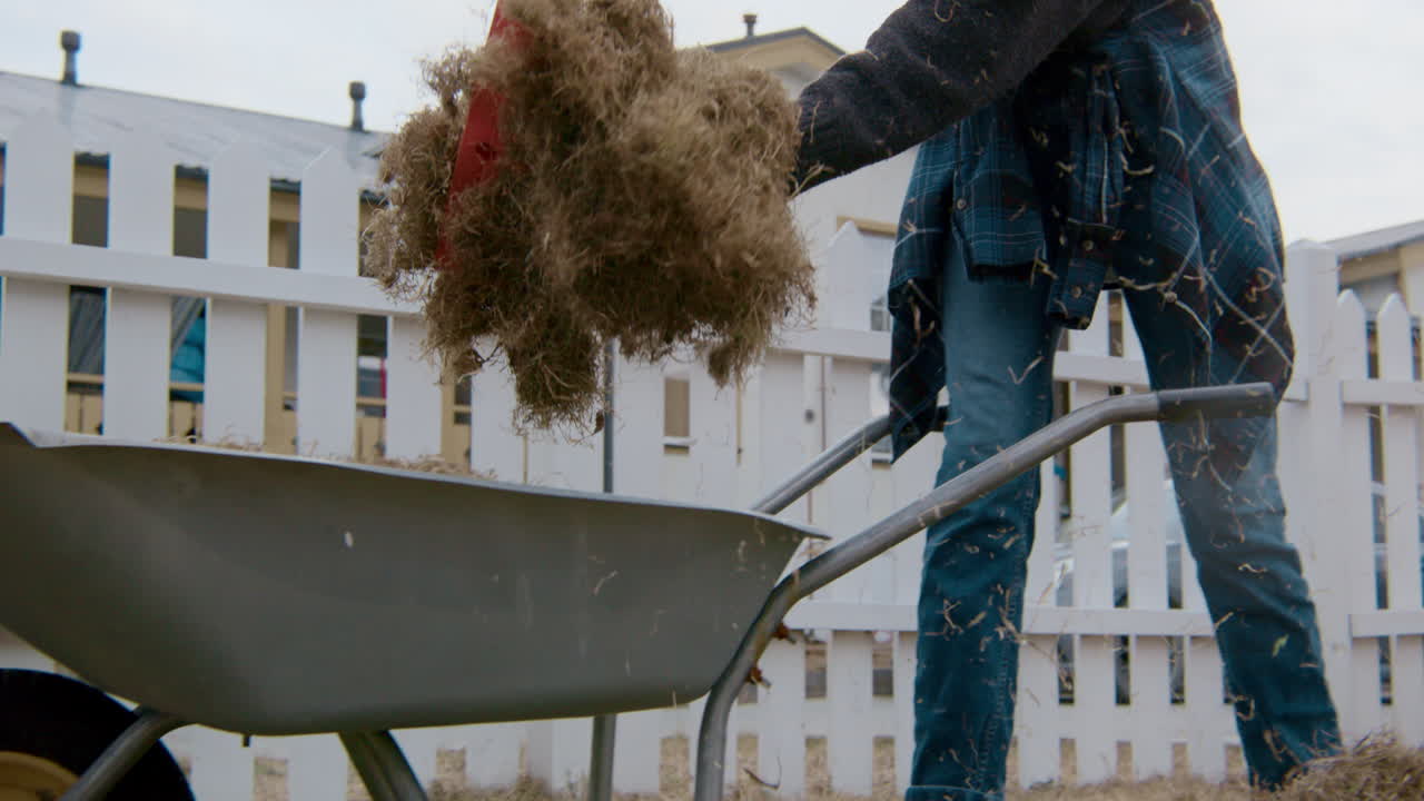 Person loading a wheelbarrow with hay