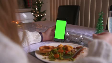 llamada de video con la familia durante la cena de navidad