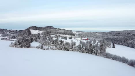 traverse the enchanting snow-laden forest, where every tree branch is delicately adorned with a pristine layer of snow, creating a magical atmosphere that transports you to a realm of tranquility