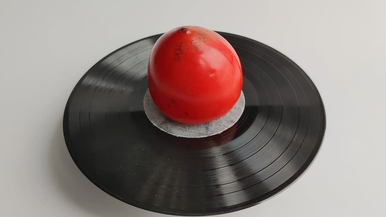 성숙한 파시몬: 빨간 파시몬은 비닐 디스크에 있습니다.