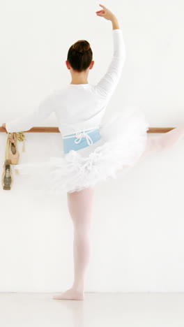 ballerina practicing ballet dance at barre