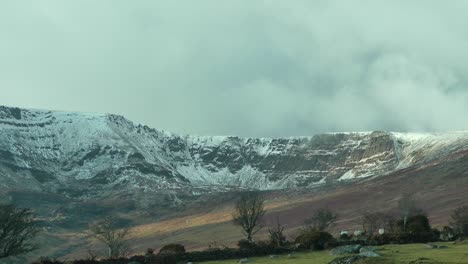 Montañas-Comeragh-Waterford-Irlanda-Ovejas-Moviéndose-A-Pastos-Bajo-Montañas-Cubiertas-De-Nieve-En-Un-Frío-Día-De-Invierno