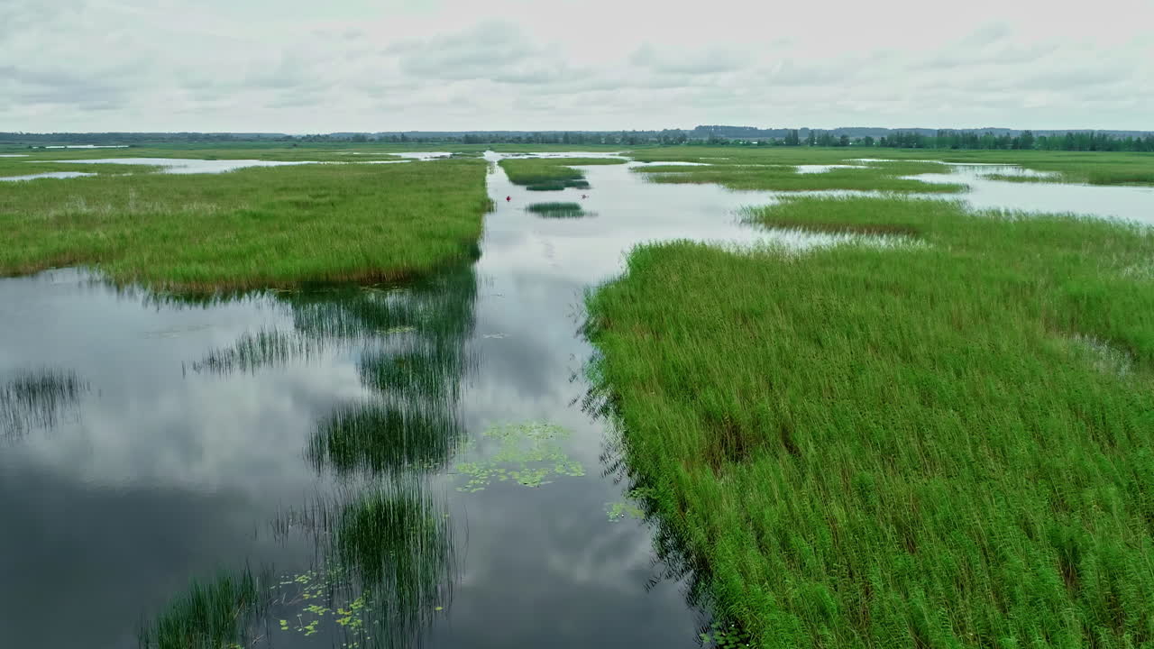 el dron vuela bajo sobre las islas del delta hierbas verdes nubes reflejadas en aguas tranquilas