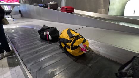 various bags travel on an airport conveyor belt.