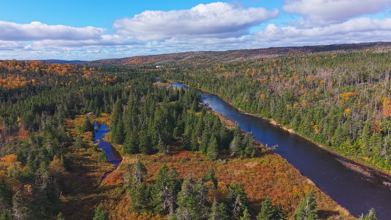 Imagined high aerial of autumn valley with straight river; colourful forest and gentle hills reflect untouched Newfoundland wilderness