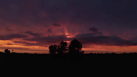 vista aérea de drones de las siluetas de los árboles al atardecer