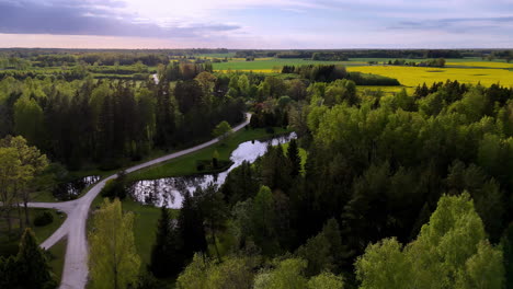A rural landscape with a reflective pond, winding gravel roads, and mixed forest is filmed from above by a drone. No people or logos are identifiable