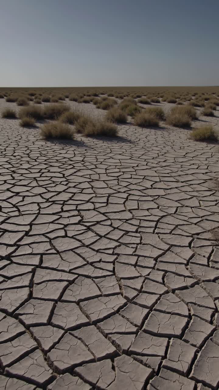 Aerial view of a cracked desert landscape with sparse vegetation, capturing the vastness and arid