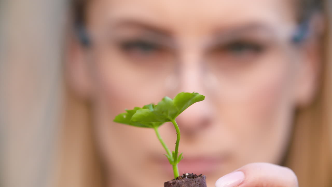 Primo piano di scienziato o ricercatore che osserva una giovane pianta ed esamina la pianta 7