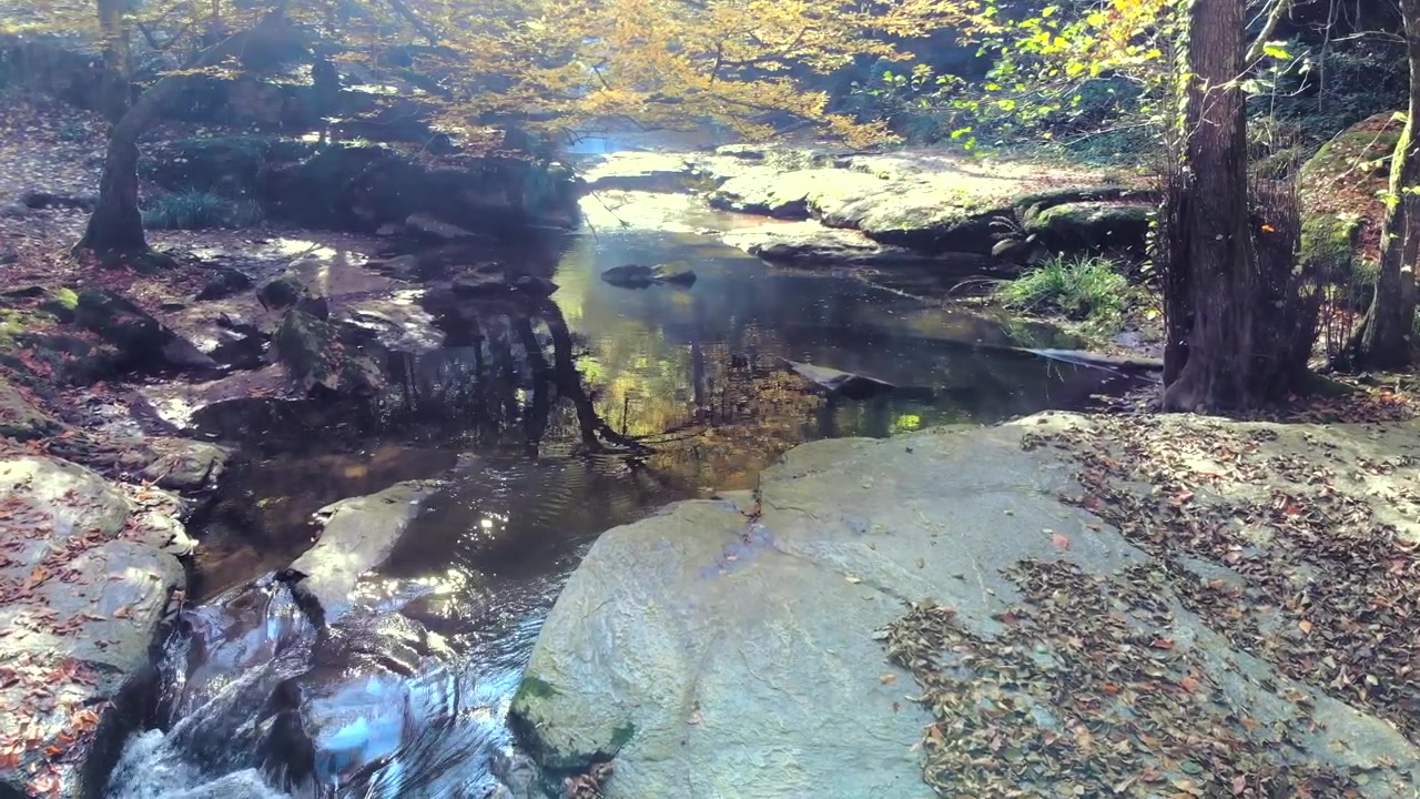 Piccola cascata che scorre sulle rocce in una tranquilla foresta autunnale