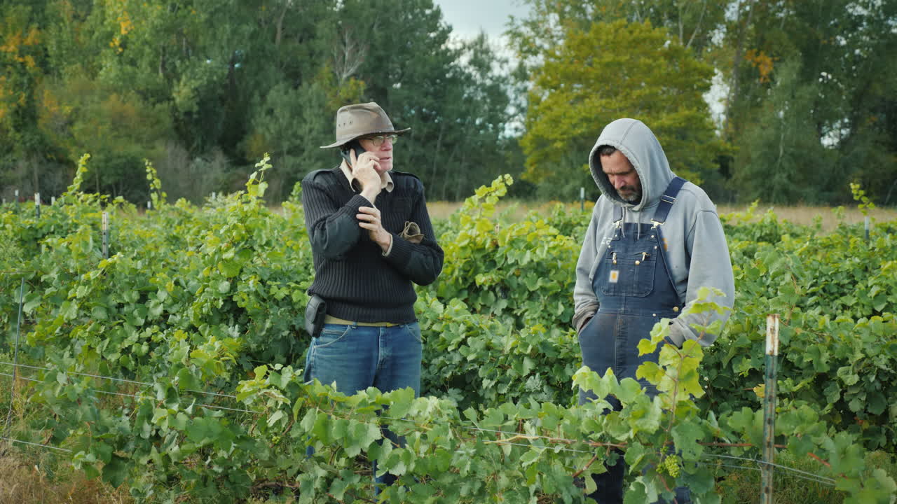 두 명의 농부가 포도원에 서 있습니다. 한 남자가 전화 통화를 하고 있습니다.