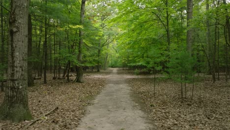 Pulling-backwards-through-the-woods-in-Point-of-View