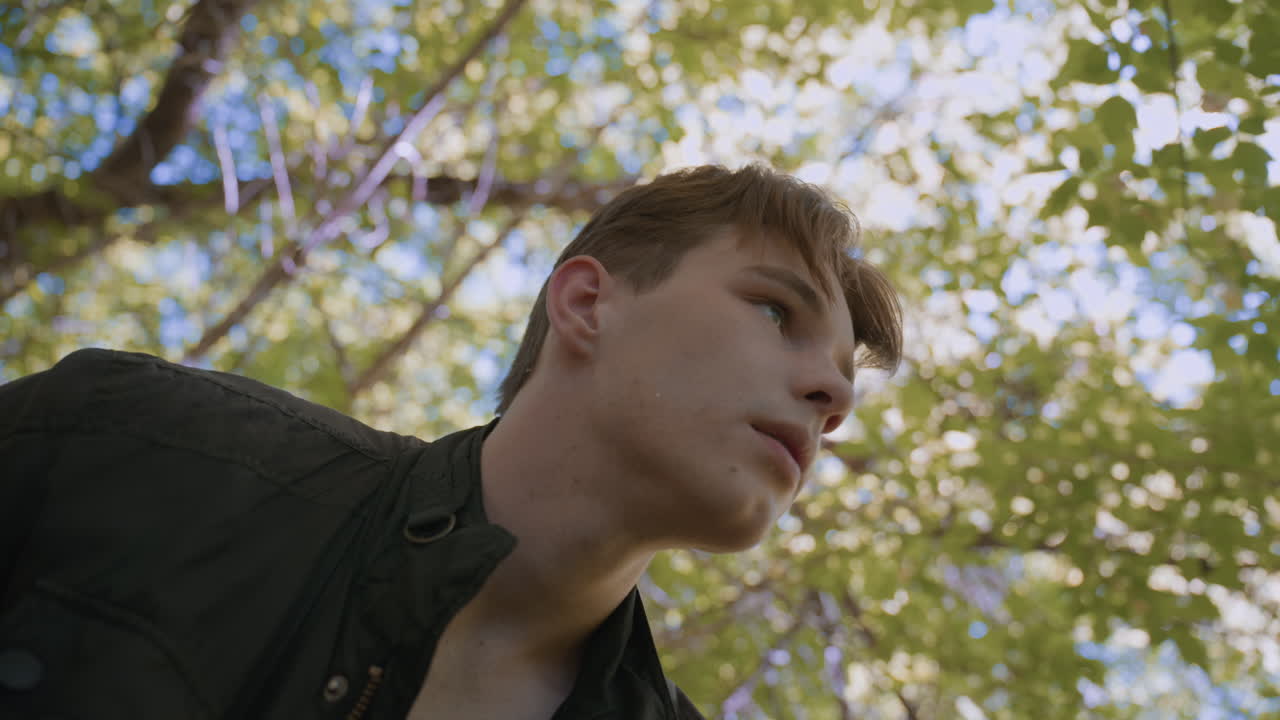Under view of young tourist looking around beneath tree while putting on jacket, blurry view of trees above him creating a vibrant outdoor atmosphere, readying for next move in nature