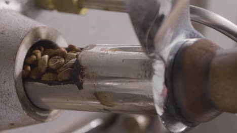 close up of hand checking if coffee beans are good