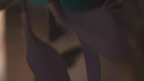 macro shot of a purple flower inside a painting studio
