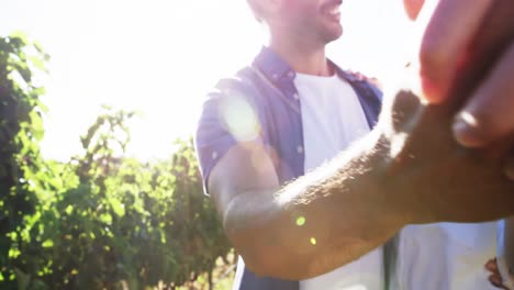 Romantic-couple-dancing-at-vineyard