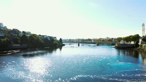 catching seaguls over a river