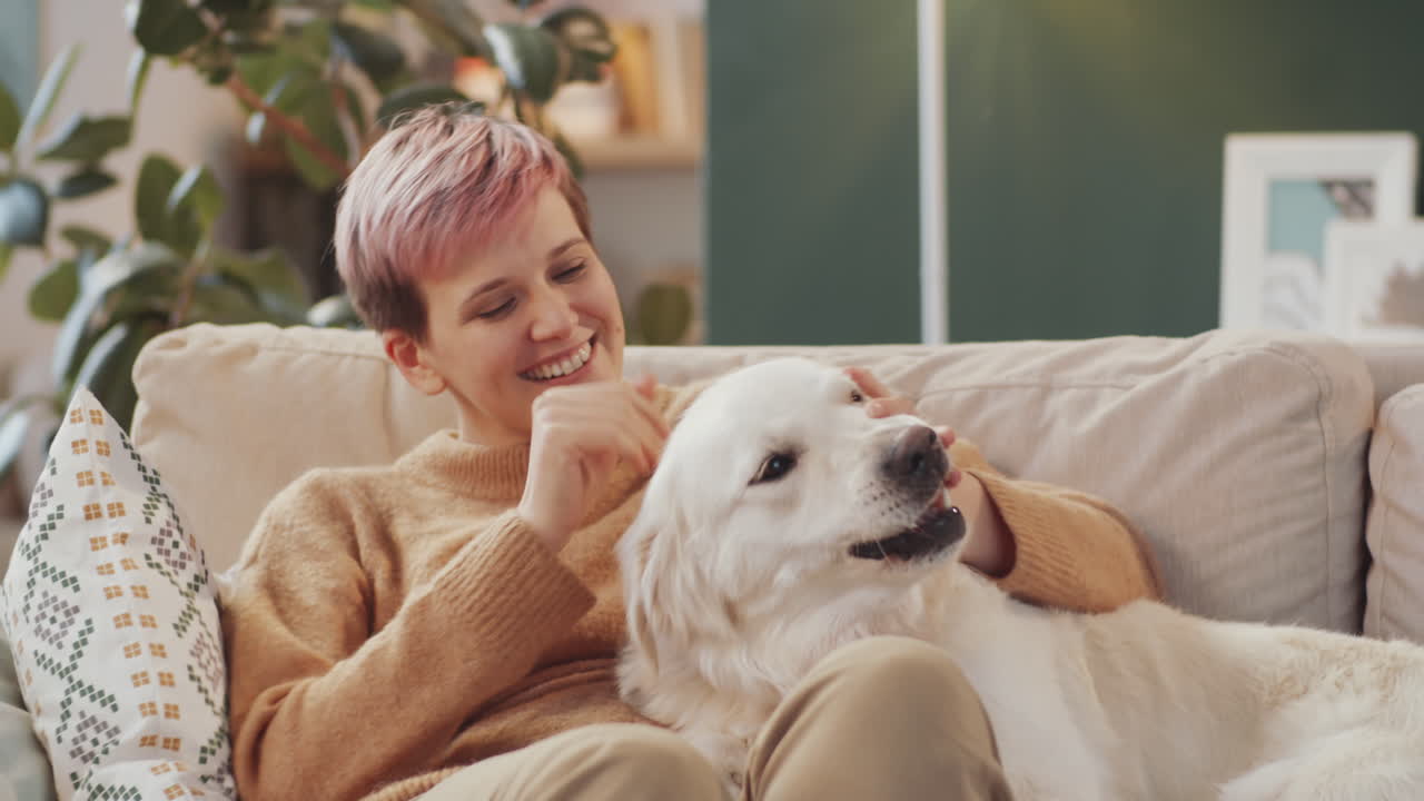 여성과 개가 소파에서 휴식을 취하고 있습니다.