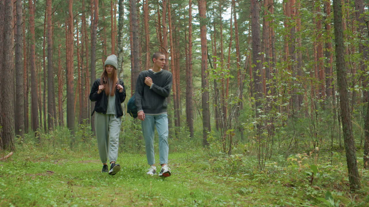 Two adults strolling side by side along forest path carrying backpacks, surrounded by tall pine trees and lush greenery, appearing calm and relaxed