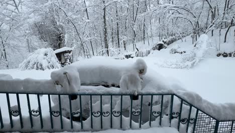 Blick-Auf-Den-Schweren-Schnee-Im-Wald-Vom-Alten-Traditionellen-Haus-Mit-Terrasse-Und-Balkon-Der-Einheimischen-Im-Hyrkanischen-Wald,-Natur,-Dorfleben,-Landleben,-Outdoor-Aktivitäten,-Reise-Zum-Berghütten-Resort-Im-Iran