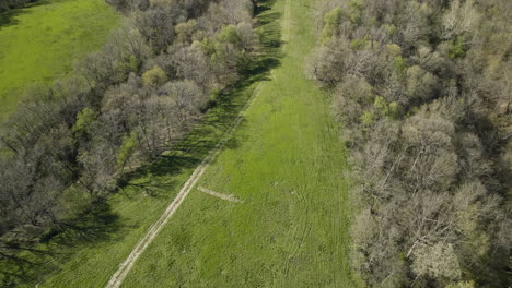 Langsame-Aufnahme-Einer-Grünen-Wiese-Und-Eines-Waldes-Mit-Wenigen-Blättern-Im-Frühling