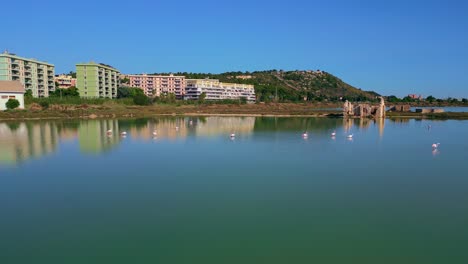 flamingos, picturesque coastal lagoon renowned for its natural beauty