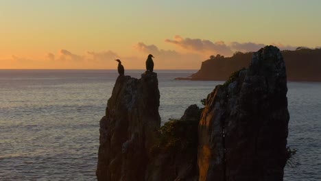 vista aérea de cormoranes que anidan en la parte superior de las rocas de la catedral en kiama downs, nueva gales del sur, australia