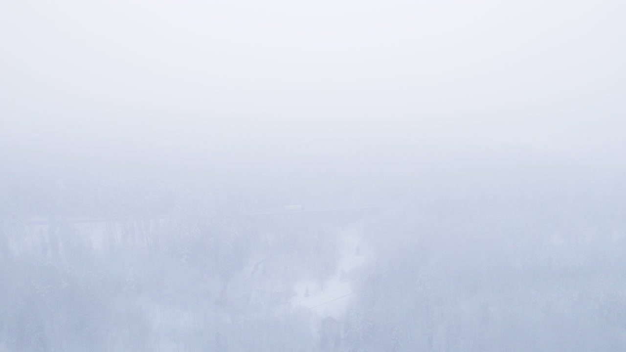 吹雪後の冬の北部自然林の4K空撮ビデオ