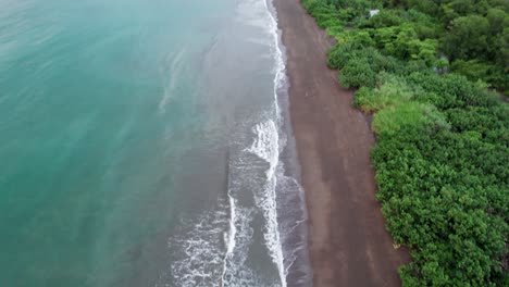 tropical jungle beach on pacific ocean coast of drake bay, costa rica