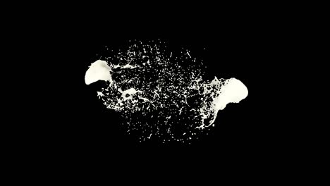 three drops of milk collide and create a splash 4k