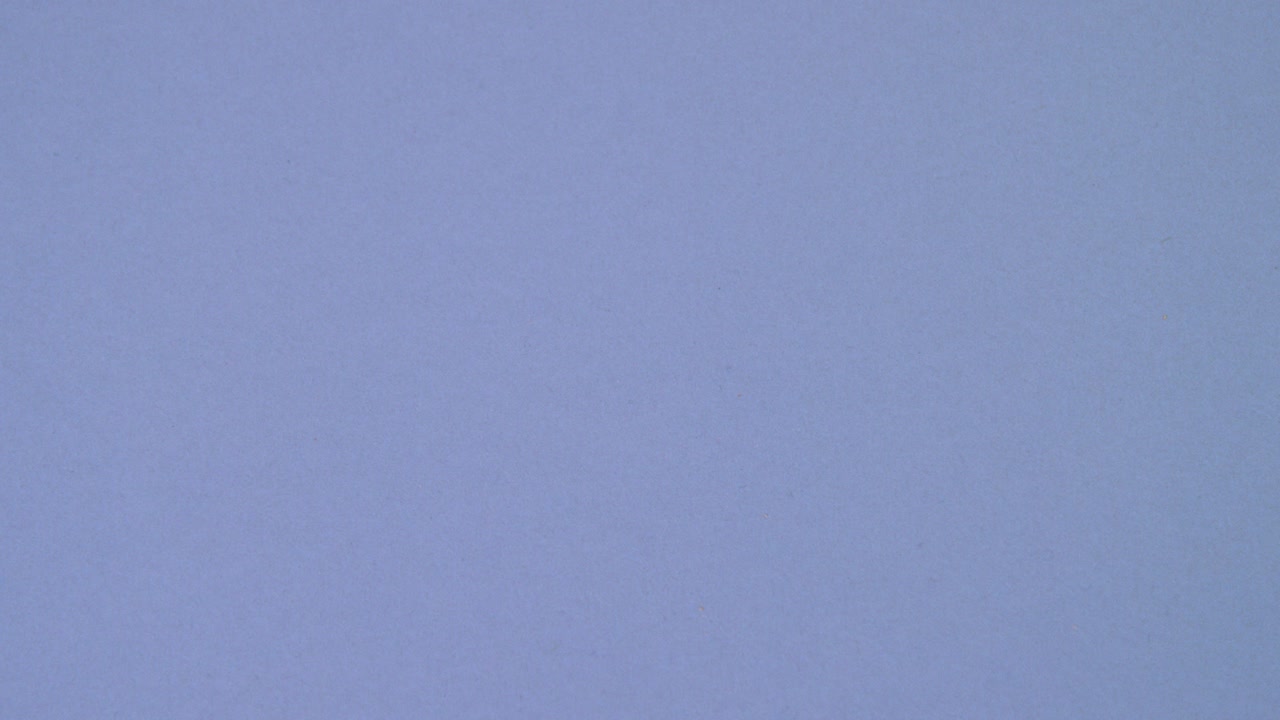 부활절 병아리 부화