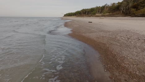 On-a-calm-autumn-afternoon,-the-waves-of-the-Baltic-Sea-wash-over-the-beach,-and-a-pine-forrest-can-be-seen-in-the-distance