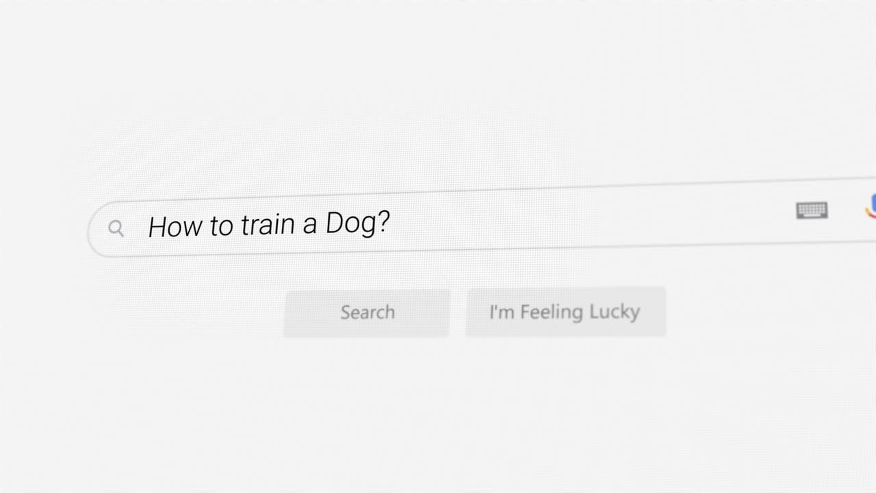 Searching for How to train a Dog? on Internet browser