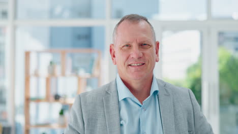 elderly businessman, face and smile for vision
