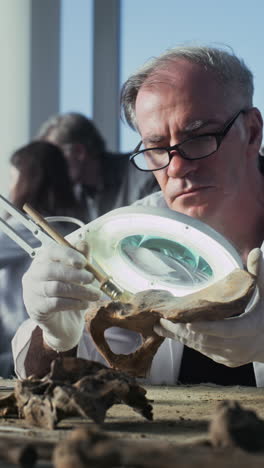archaeologist examining a fossil hip bone
