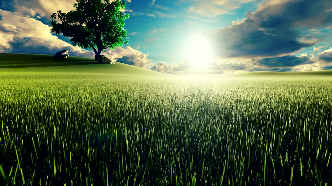 아침 초록 잔디의 신비롭고 매혹적인 비디오, 배경에 나무, 아침 태양과 구름이 날아가는 아름다운 여름 루프 배경.