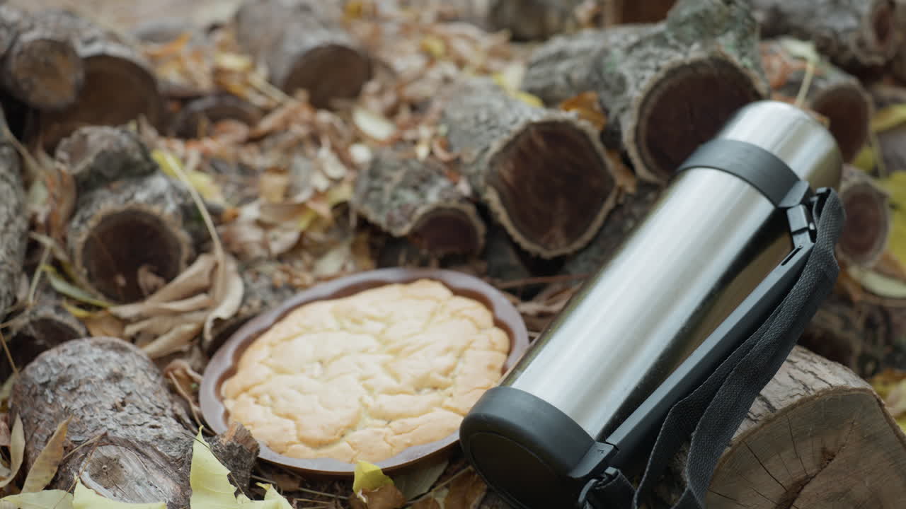 stainless steel thermos on forest floor surrounded by bracket fungus and dry leaves, leather strap draped over weathered log, closeup composition with soft muted tones, autumn picnic mood conveying