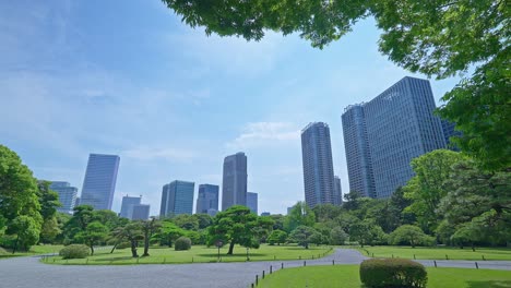 beautiful japanese traditional garden with skyscrapers tokyo